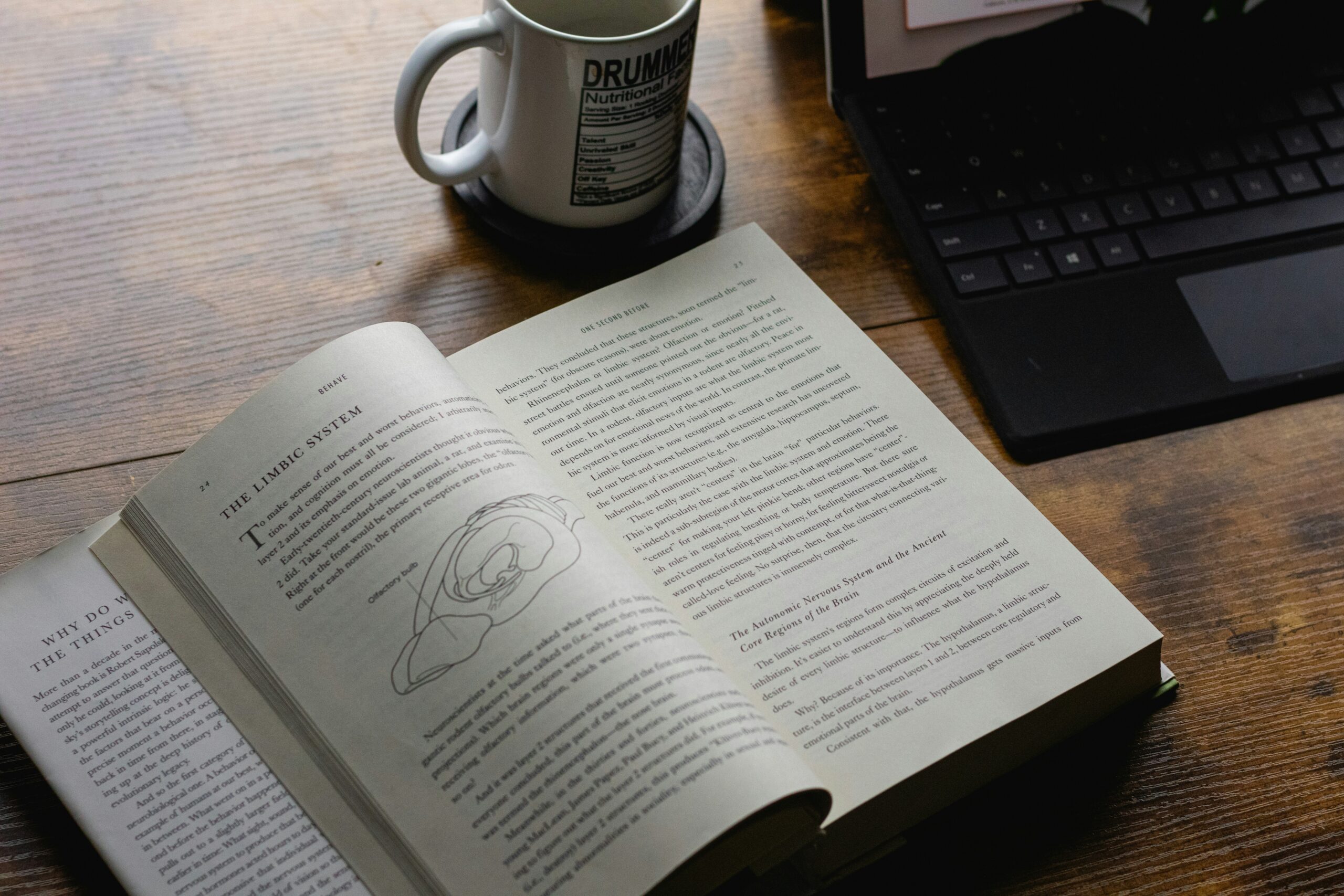 reading